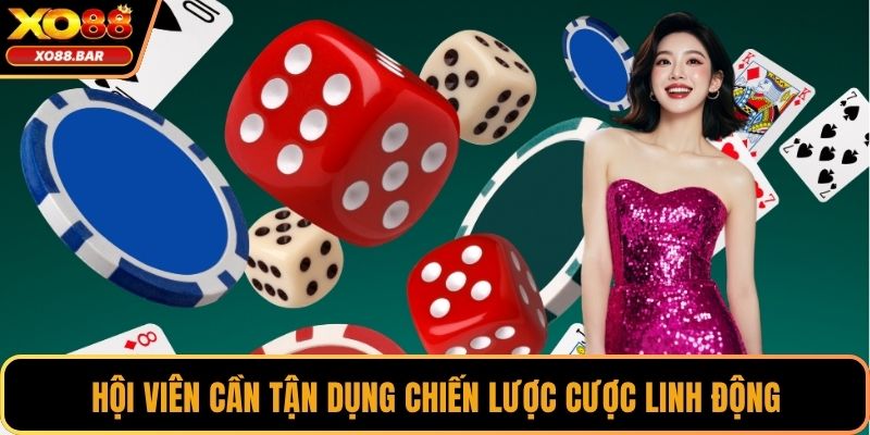 Hội viên cần tận dụng chiến lược cược linh động