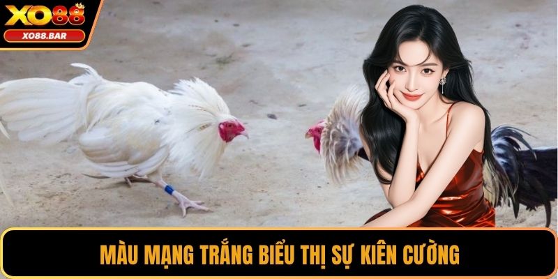 Màu mạng trắng biểu thị sự kiên cường