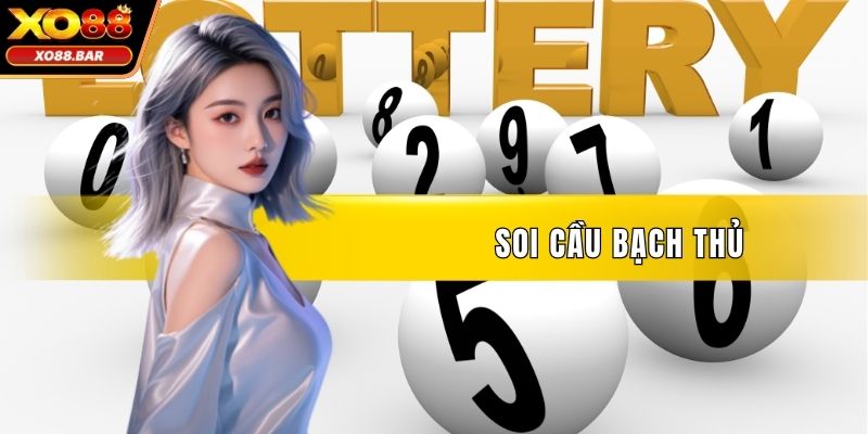 Soi Cầu Bạch Thủ