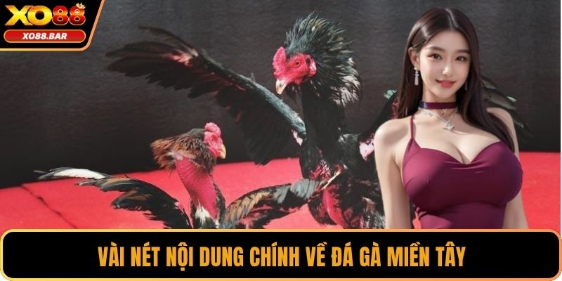 Vài nét nội dung chính về đá gà miền Tây