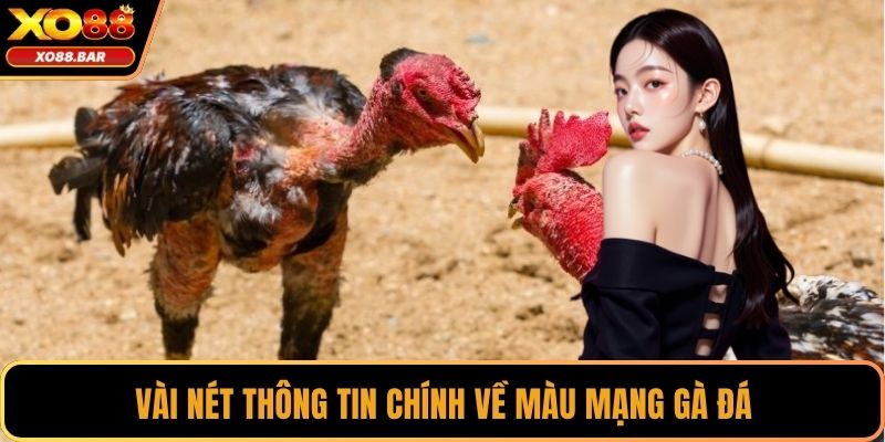 Vài nét thông tin chính về màu mạng gà đá